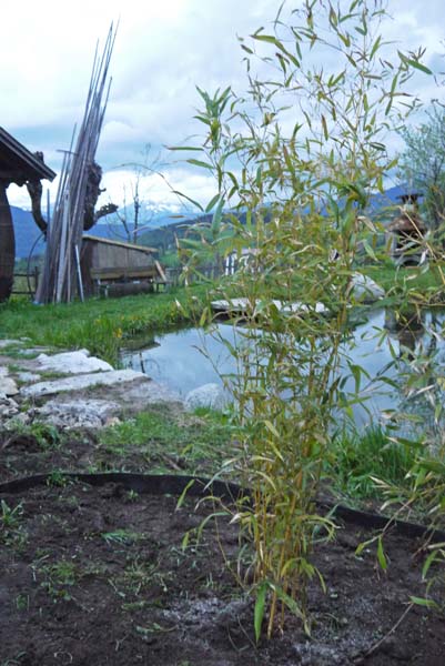 rhizomenfolie-einbau-2012-bambuswald1650e86df2592ce