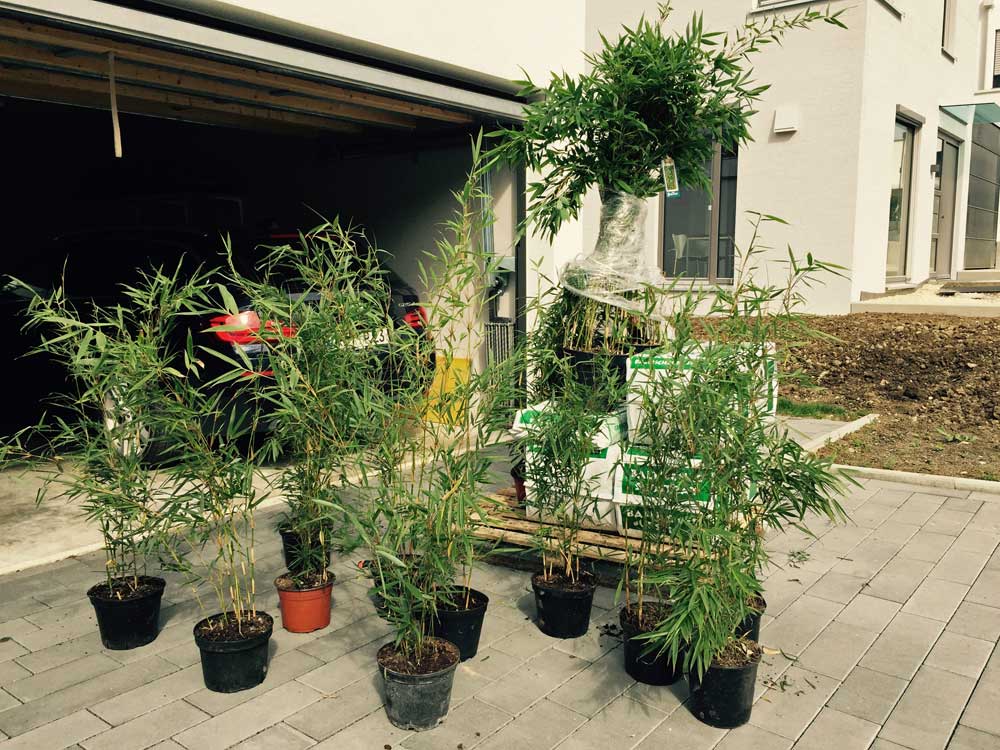 Versand-Bambuswald-beim-Kunden