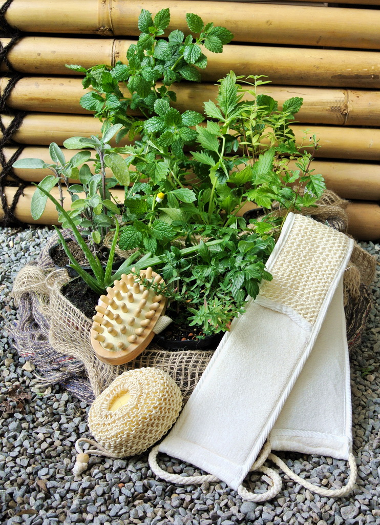 Kr-utermischung-wellness Heil- und Wellnesskräutersortiment