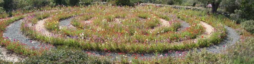 wiesentraum-saatgut Bienenfreundliche Saatgut Mischung