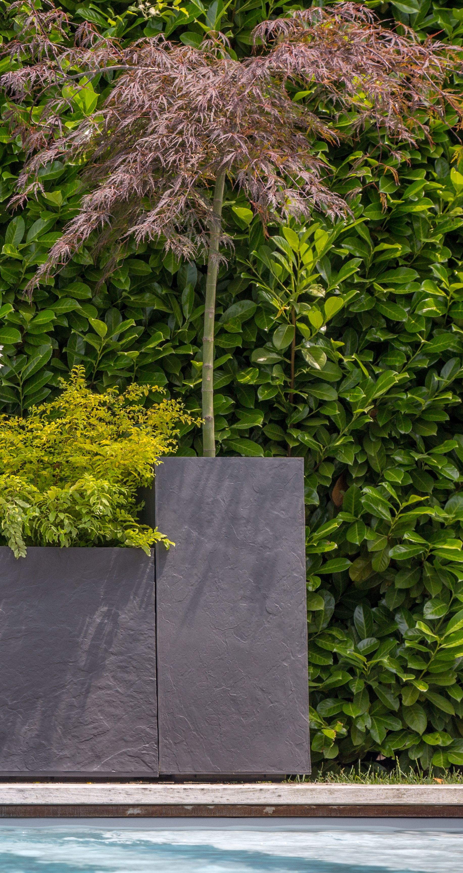 13739-G-ANT-Piscine Hoher Pflanztrog in Steinoptik