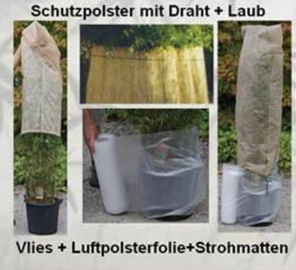 bambusberwinterung250fbed2b72f18