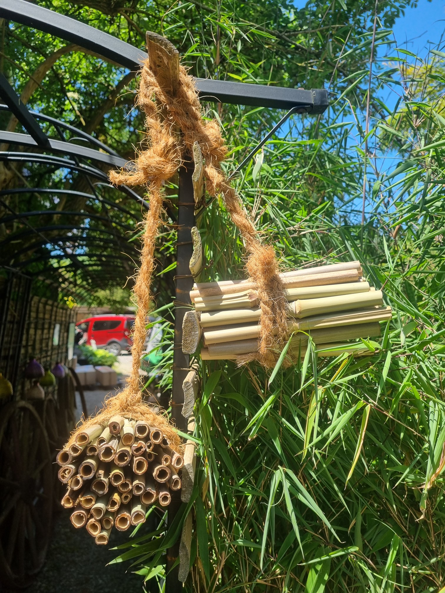 Bambus-Nisthilfe3 Nisthilfen aus eigenen Anbau für Wildbienen