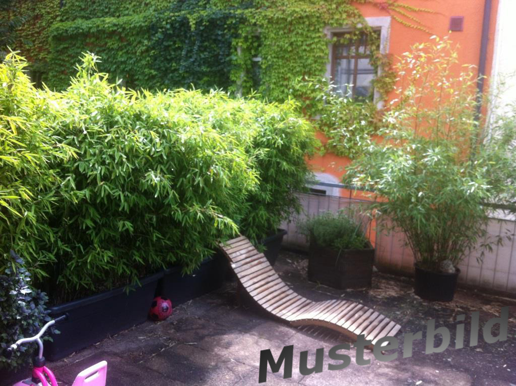 255094de29050d Mobiler Sichtschutz - Bambus Hecke im Kasten