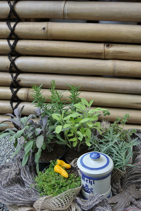 kr-ftige-K-che_Bildgr-sse-ndern_Bildgr-sse-ndern Kräutersortiment für die kräftige Küche