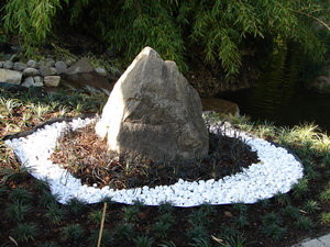 schlangenbart_dunkel Schwarzer Schlangenbart, Ophiopogon planiscapus nigrescens