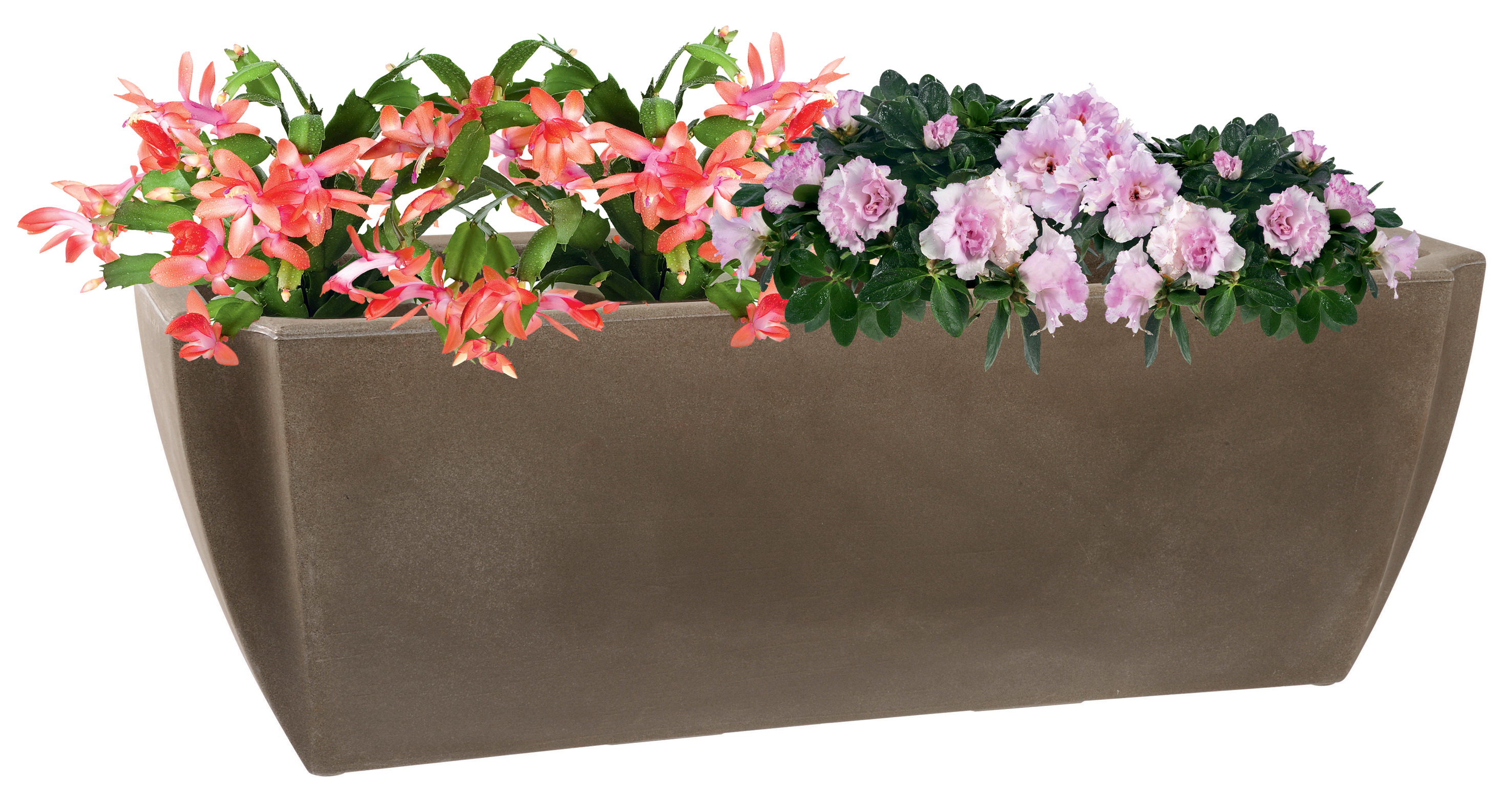 13904-BR-T-plantes Großer Pflanzkasten mit Wasserreserve