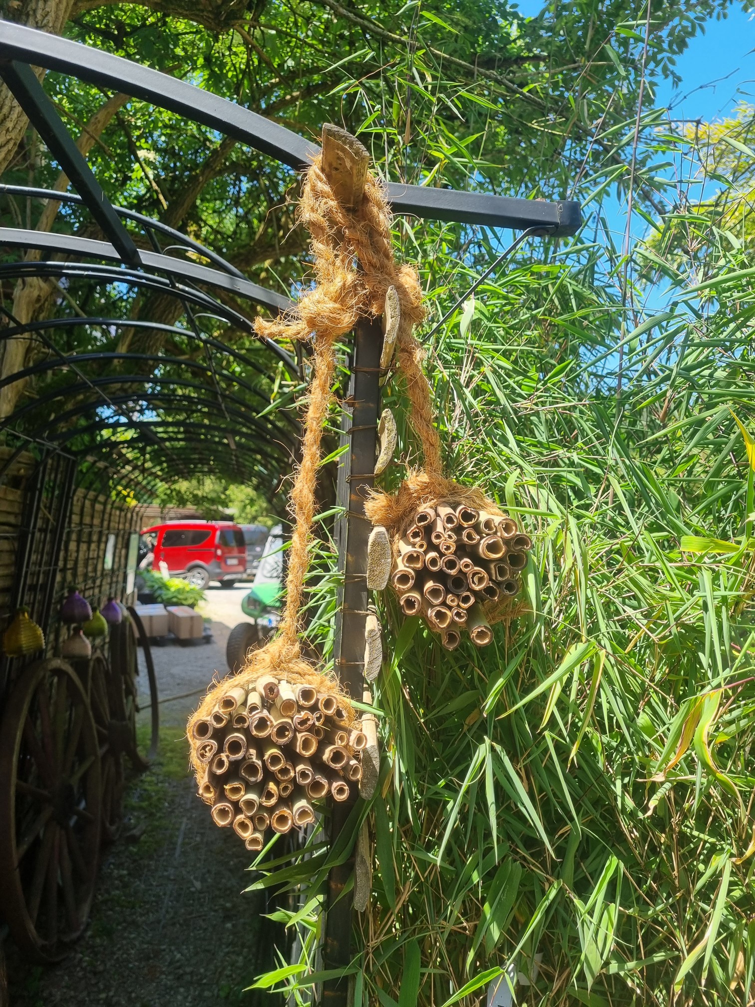 Bambus-Nisthilfe4 Nisthilfen aus eigenen Anbau für Wildbienen