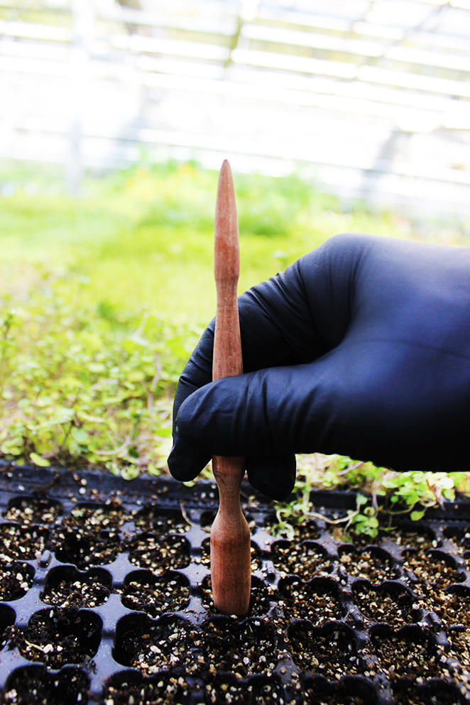 piki2 Pikierstab aus Teakholz