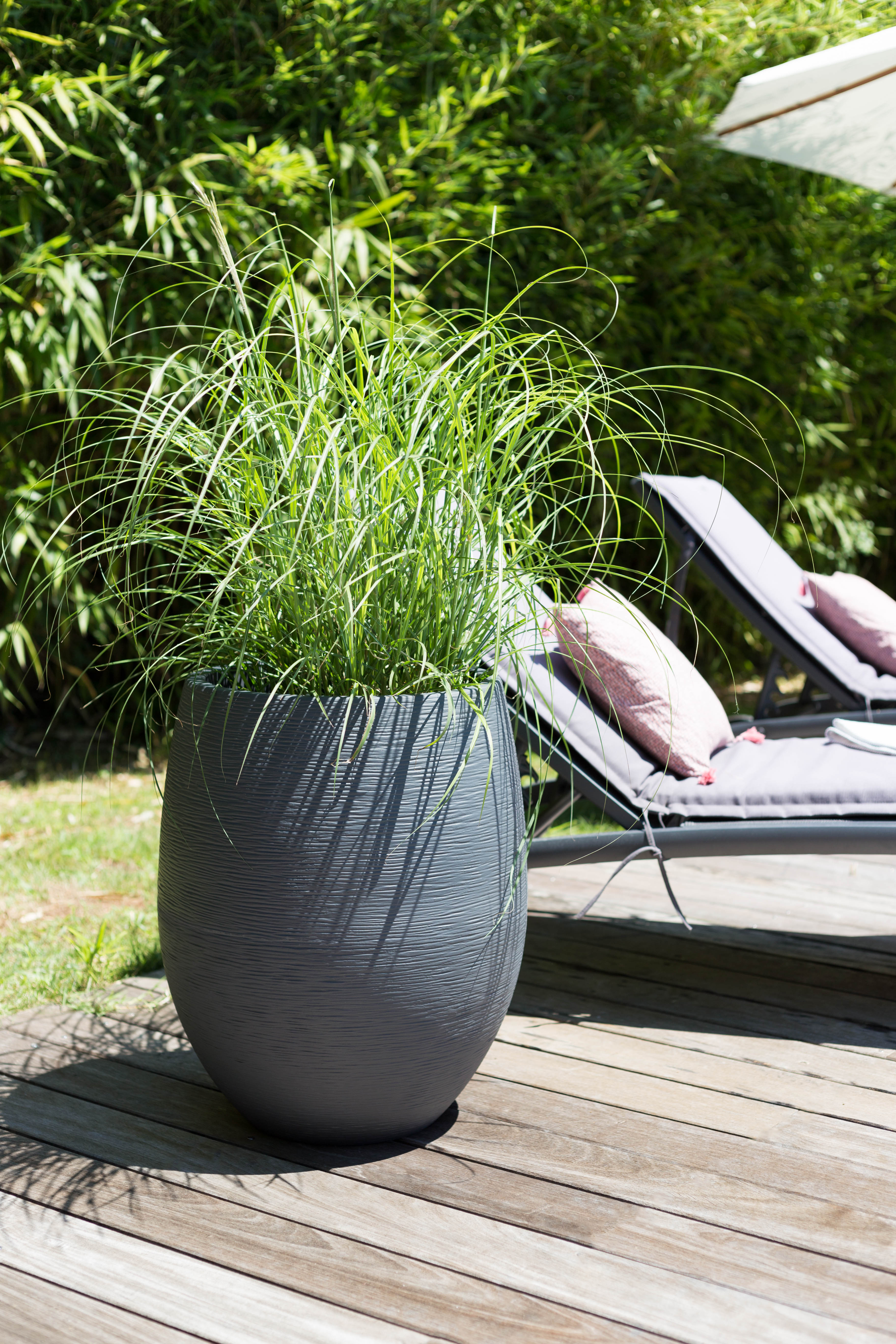 Bambus-Hecken & Pflanzkübel: Vielfalt für Garten & Balkon