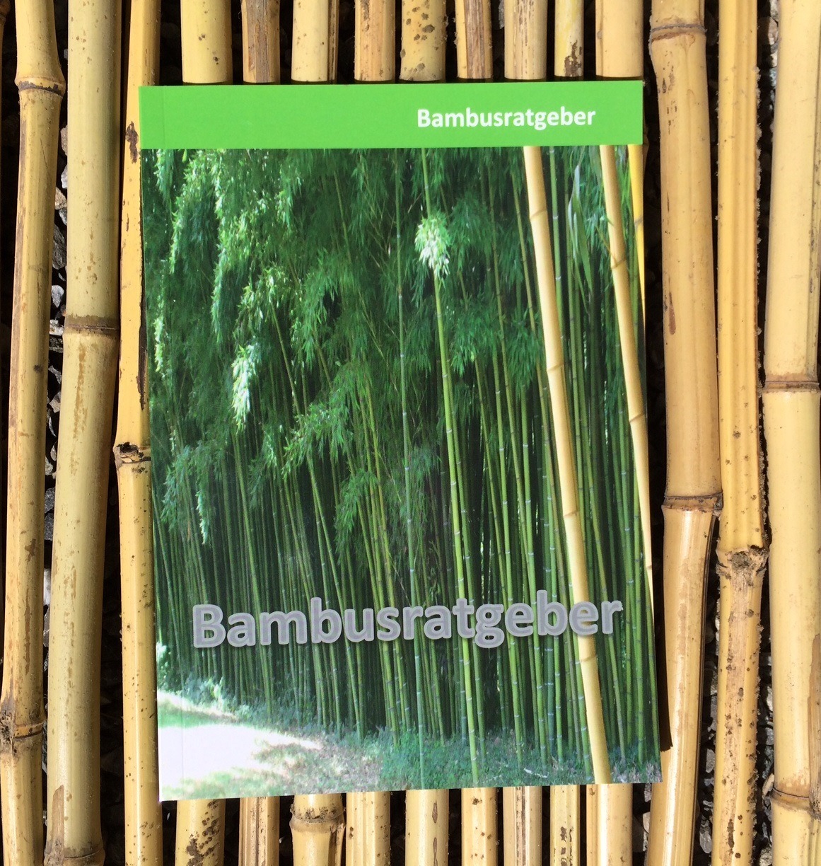 Bambusratgeber - alles über Bambuspflanzen Bambusratgeber - alles über Bambuspflanzen