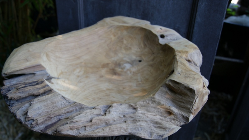 50cm-unbepflanzt-800x450 Teak- Wurzel Schale rund