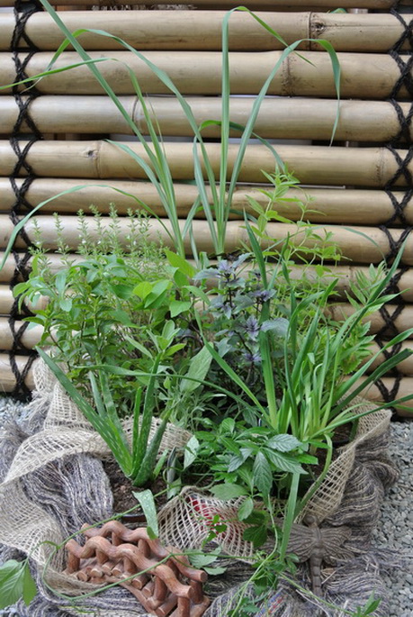 f-r-ein-langes-Leben_Bildgr-sse-ndern_Bildgr-sse-ndern-Kopie Kräutersortiment für ein langes Leben