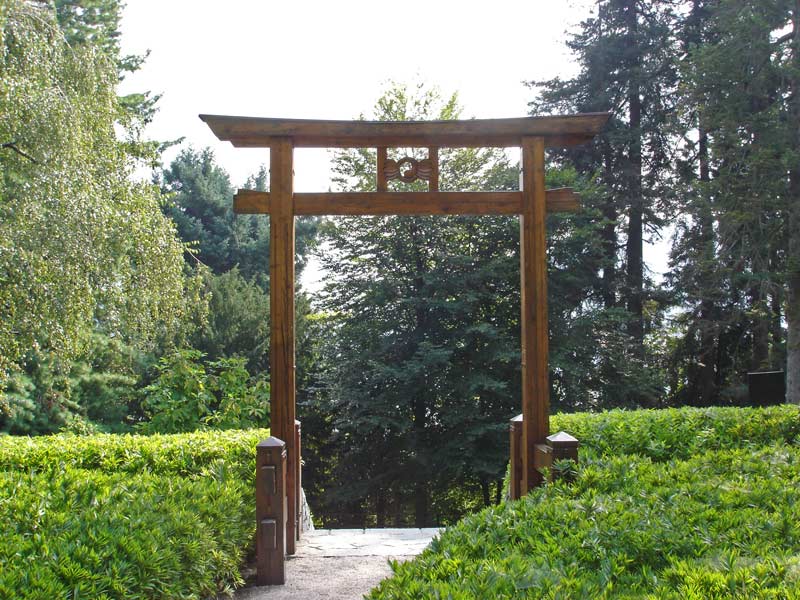 pleioplastus-distichus1a-bambuswald Zwergbambus Pleioblastus distichus