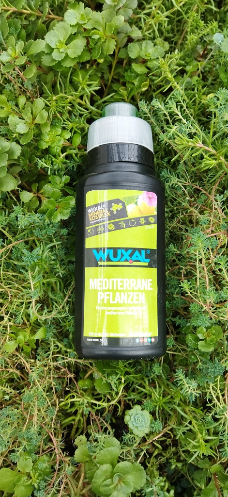 Mediterrane-Pflanzen-D-nger Zitrus- und Palmendünger