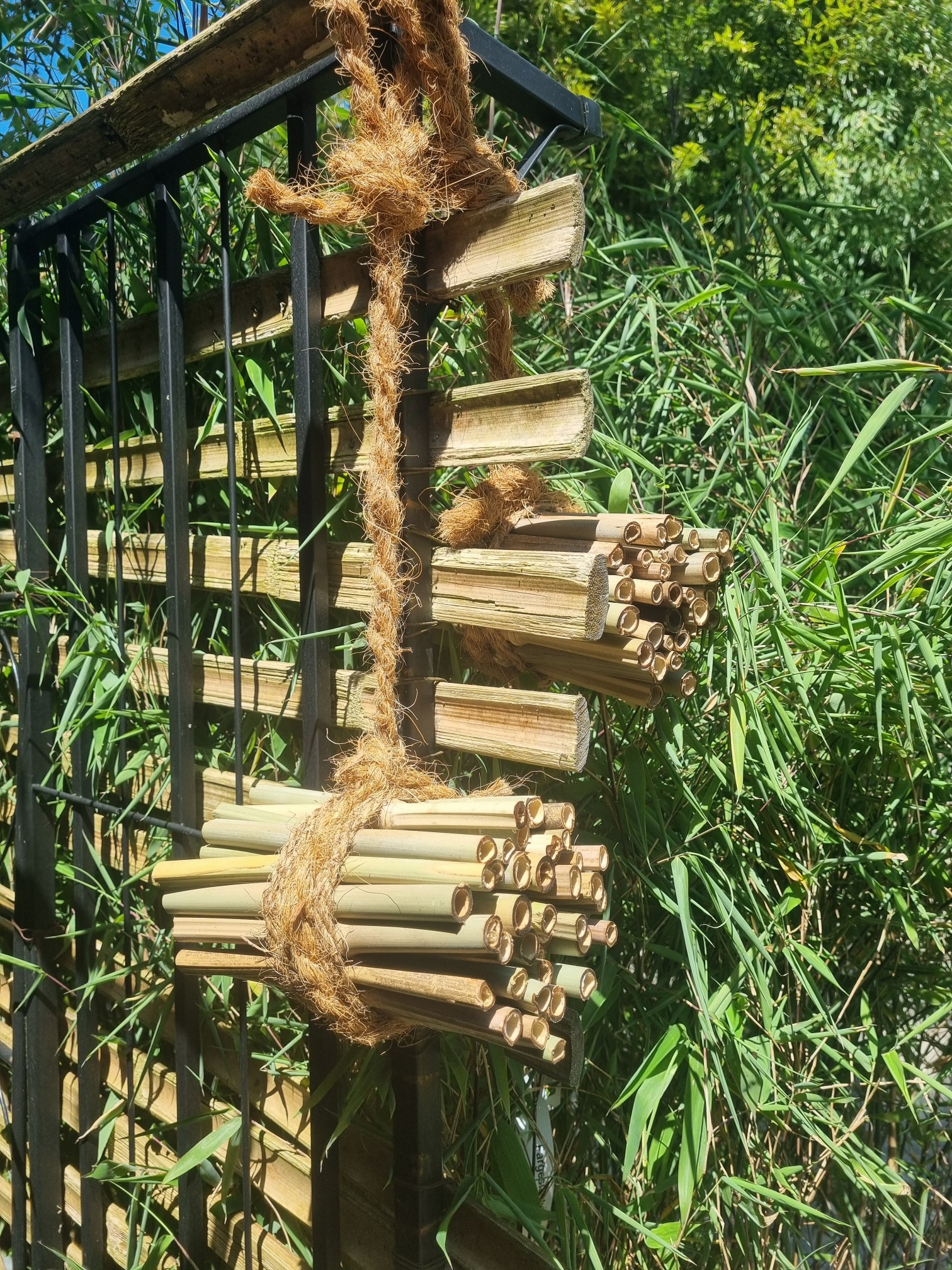 Bambus-Nisthilfe5 Nisthilfen aus eigenen Anbau für Wildbienen