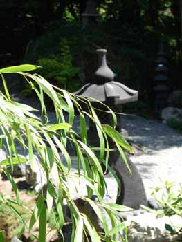 bambus-und-pagode