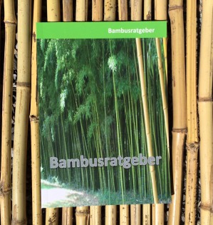 Bambusratgeber - alles über Bambuspflanzen